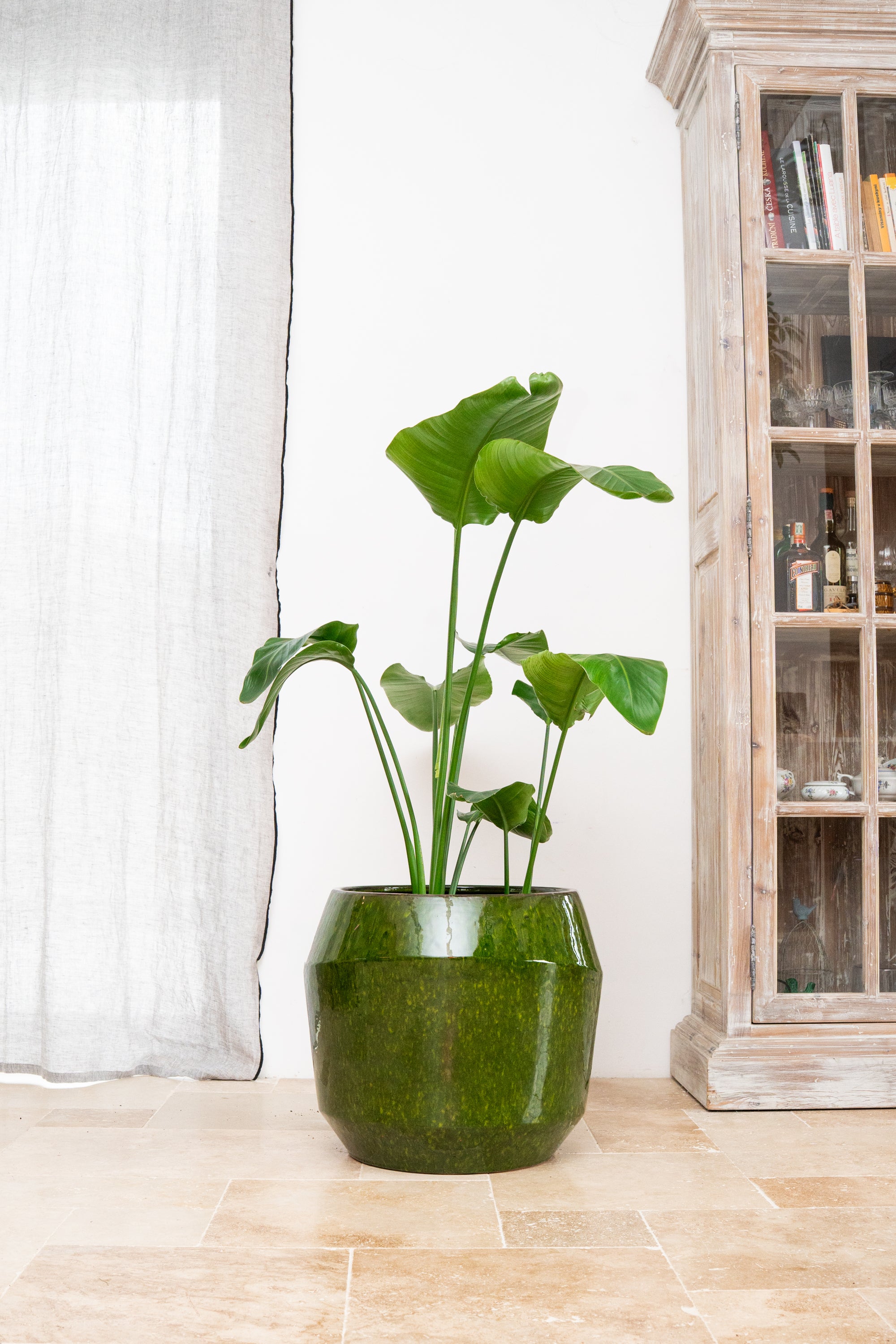 Keramischer Blumentopf Monaco – Grün