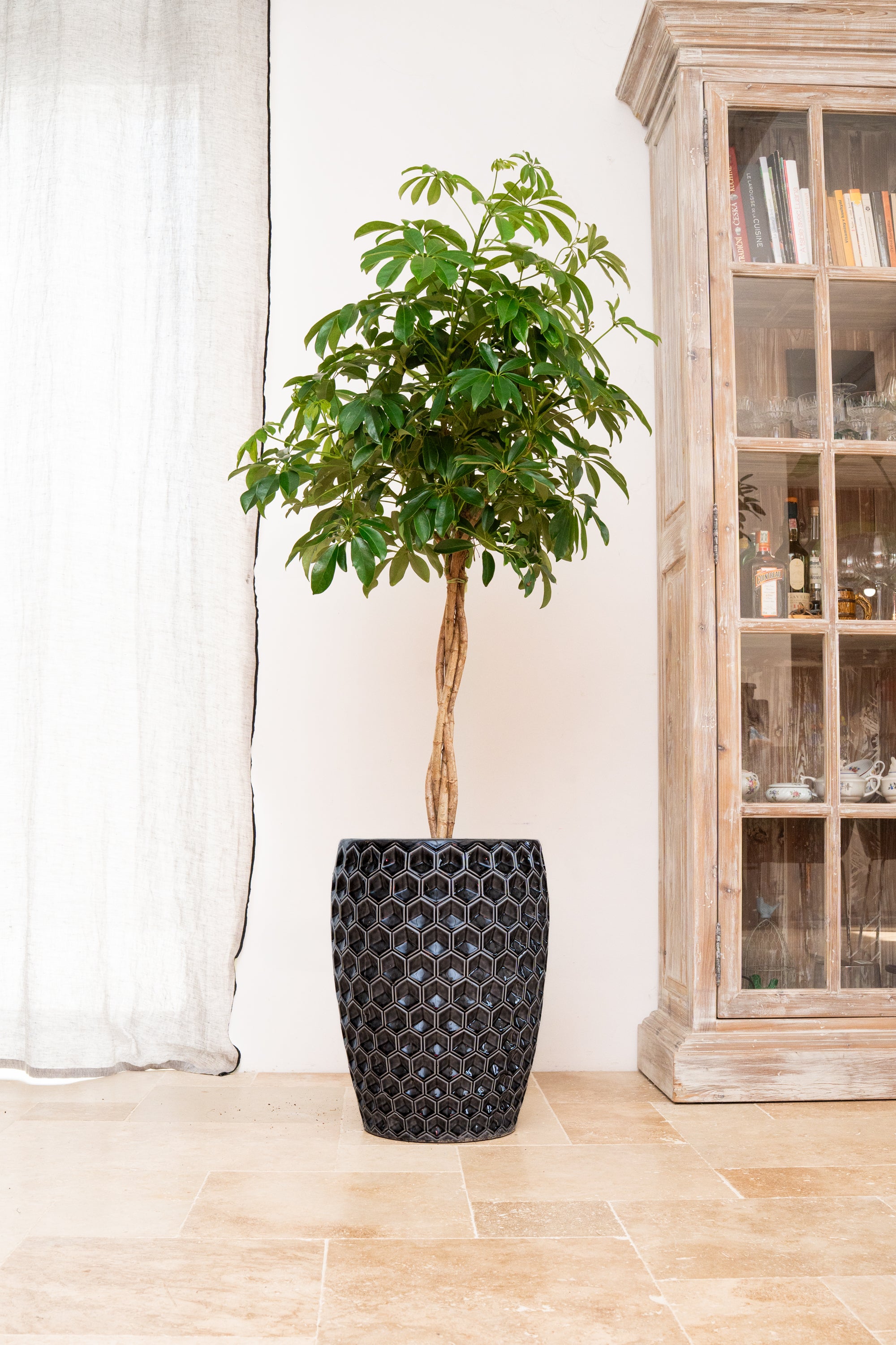 Keramischer Blumentopf Versaille – Schwarz