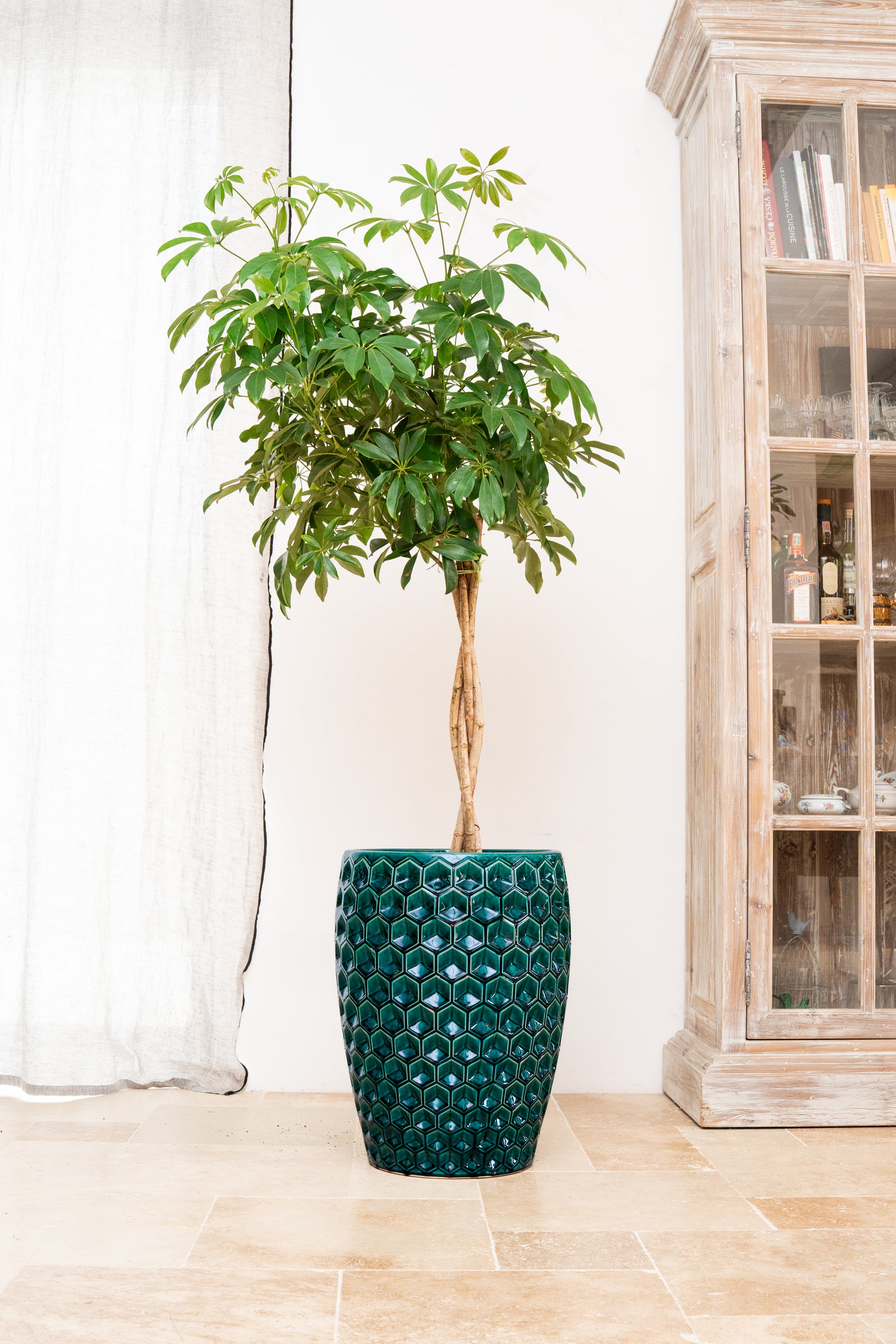 Keramischer Blumentopf Versaille – Dunkelgrün