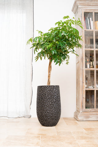 Keramischer Blumentopf Paris – Schwarz